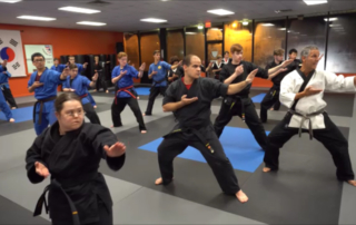 RSAK Adult Karate